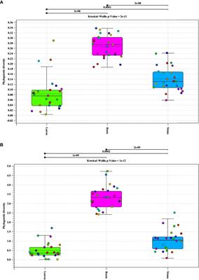 The core microbiome of Carya illinoinensis (pecan) seedlings of different maternal pecan cultivars from the same orchard